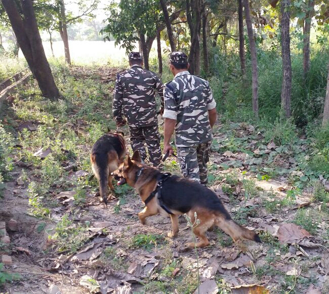 नेपाली युवक के लाश की हुई पहचान घटनास्थल पर पहुंचे एसपी --