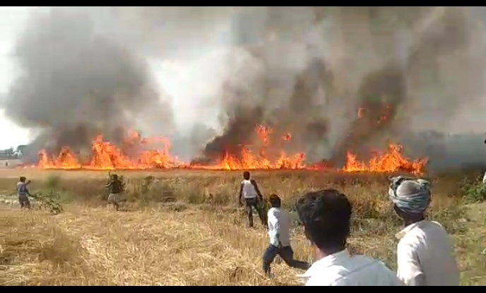 महाराजगंज: सैकड़ों एकड़ गेहूं का फसल जलकर खाक किसानों ने किया प्रदर्शन