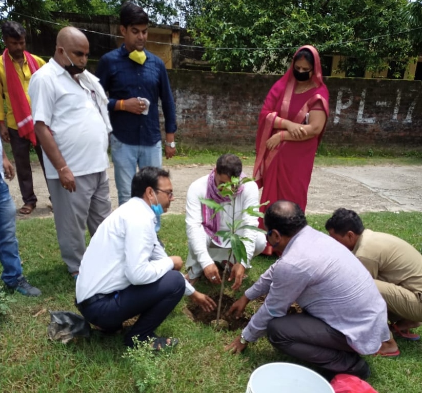 निचलौल: ब्लाक परिसर में प्रमुख आभा यादव ने किया पौधारोपण ।