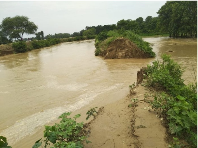 महाव तटबंध फिर टूटा, किसान हो रहे हैं बर्बाद