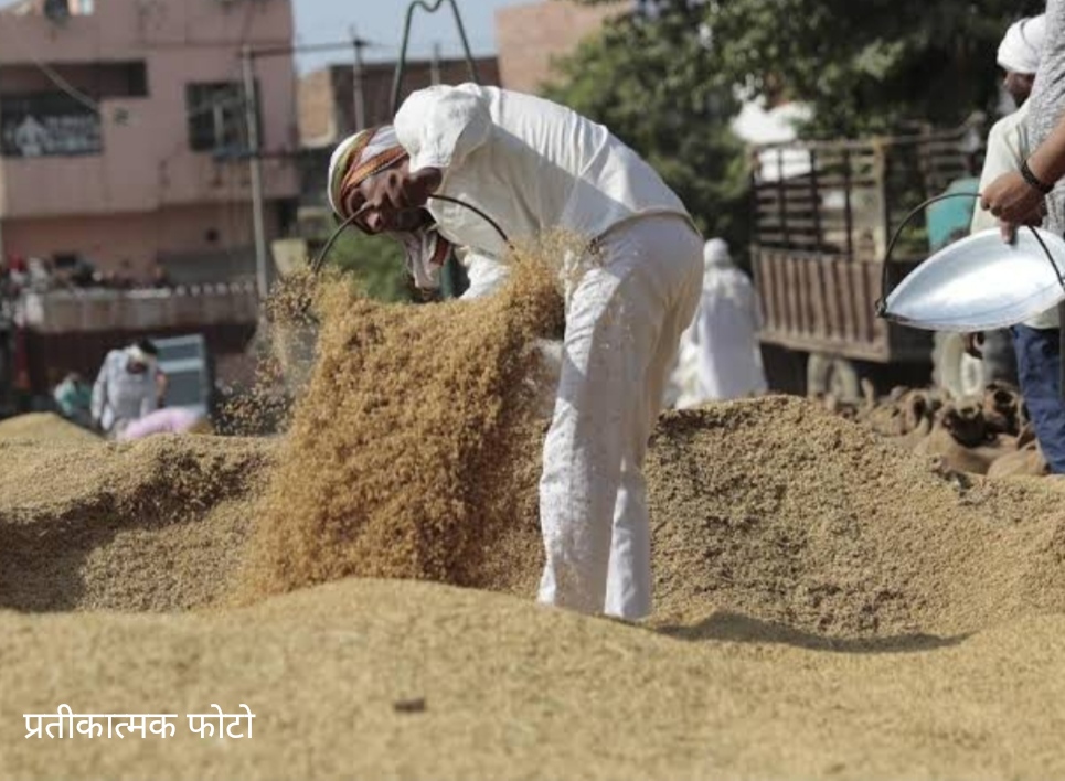 बिचौलिए धान खरीद के लिए गांव में डेरा डाले, किसान औने पौने दाम पर बेच रहे धान