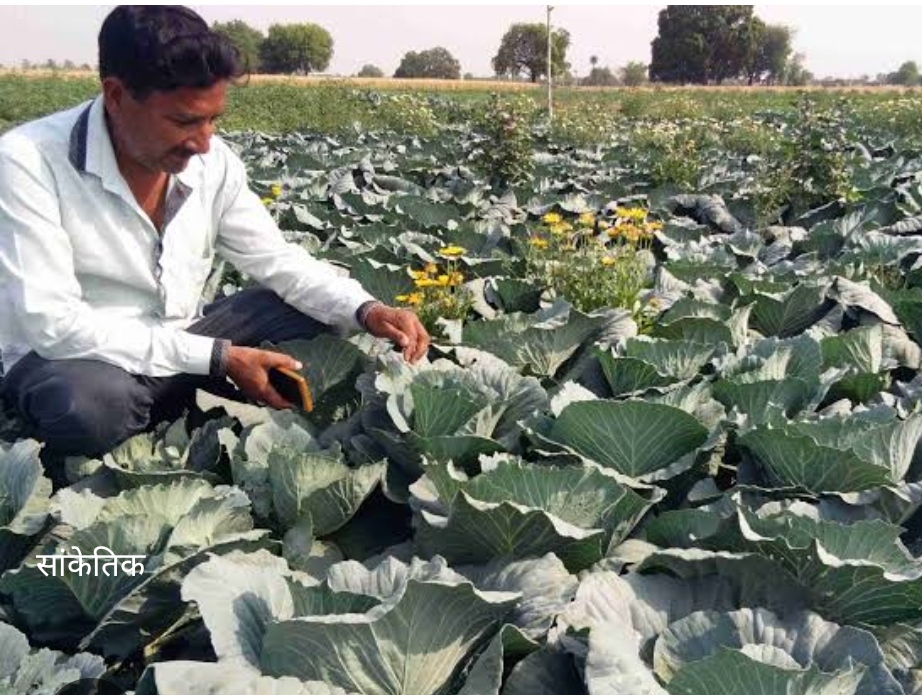 वैज्ञानिक विधि से खेती करने की जरूरत --ओम प्रकाश