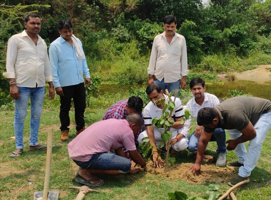 स्वस्थ पर्यावरण सुनिश्चित करना हमारी ज़िम्मेदारी-- बृजेश मणि त्रिपाठी