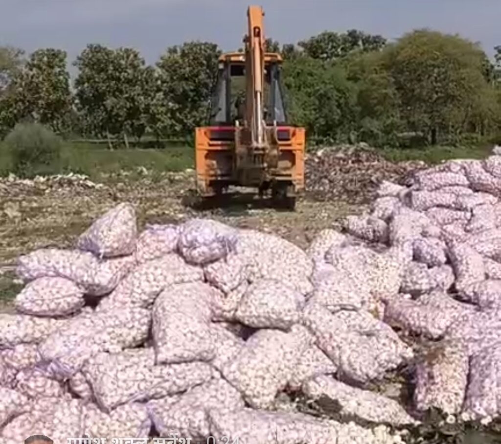 चीन का 1400 बोरी अवैध लहसुन जब्त, कस्टम विभाग ने किया नष्ट