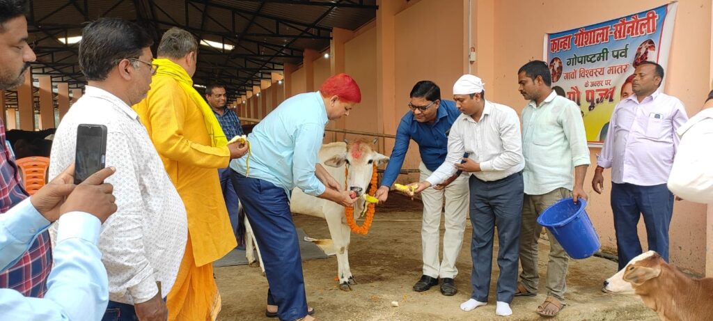 सोनौली कान्हा गौशाला में नगर पंचायत अध्यक्ष ने किया गौ पूजा, सजाया गया गौशाला